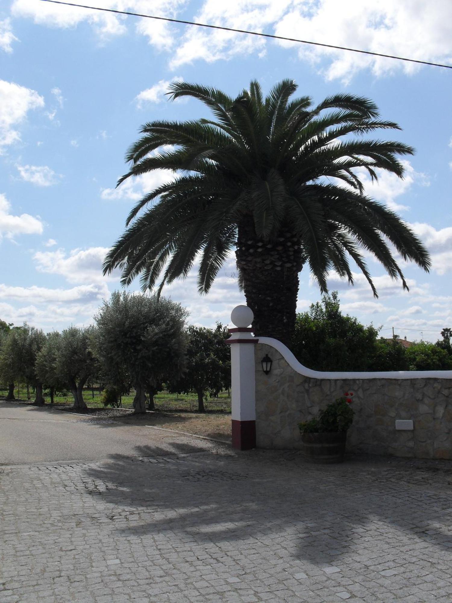 Terras De Monsaraz Hotel Reguengos de Monsaraz Exterior photo